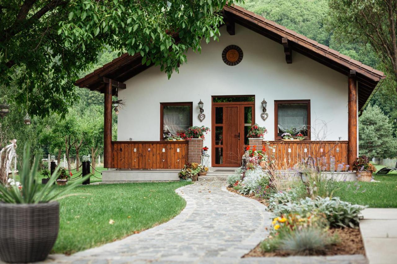 Ven Diofa Bed & Breakfast Sub Cetate Exterior photo