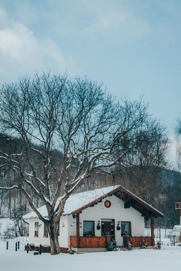Ven Diofa Bed & Breakfast Sub Cetate Exterior photo