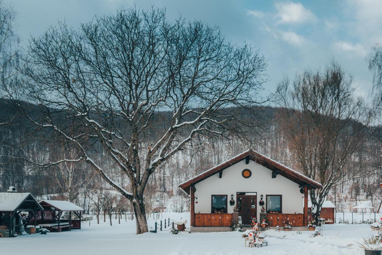 Ven Diofa Bed & Breakfast Sub Cetate Exterior photo